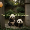 The Echoes of Revolution