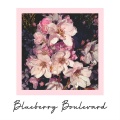 Visions of Blueberry Boulevard