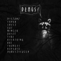 Raccoon Taxonomy - Domesticated