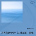月亮我想问问你（DJ逸廷版）(翻唱)