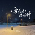 雪落进了你眼睛