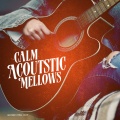 Guitar Chill Out - Harmonics Mesmerizing