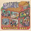 Surprise Chef - Websites