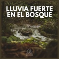Lluvia Fuerte en el Bosque
