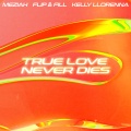 True Love Never Dies