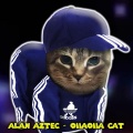 OIIAOIIA CAT