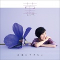坂本真綾 - 菫