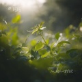 瑶瑶 - 入心的人一生惦记
