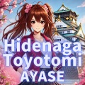 Hidenaga Toyotomi