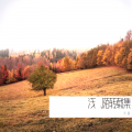 浅、陌 - 死別