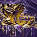2thirteen - LSU