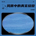 冯布朗 - 阳光下的自我坚守