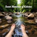 Simon Forge - Kokomo's Legacy