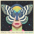 The Only Process (Sasi Remix)