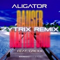 Danser Natten Ung (Zytrix Remix)