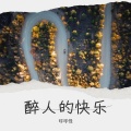 琥珀 - 最美的年华