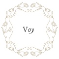 Dj Human Star - Voy