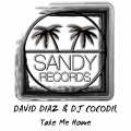 Take Me Home (Original Afro Deep Mix)