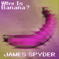 James Spyder - DECAY
