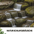 Natur Schlafgeräusche: Harmonie der Schlaflieder der Erde
