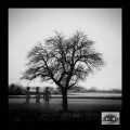 Voices in the rain (feat. Billbron) [Explicit]