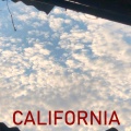 THE WOLF FAMILY - California