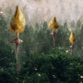 Fungi