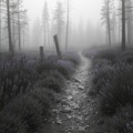 Klordop - Heiderast 2