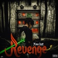 REVENGE (Explicit)