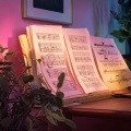 Harmonious Lofi: Gentle Music Layers
