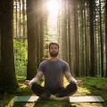 Meditación Serena: Orquesta Tranquila