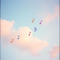 Notes
