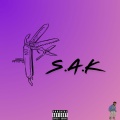 Desmond Jaxson - Burn