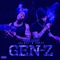 zakee、GALAXY! - Nikola Jokic