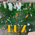 THE WOLF FAMILY - Luz