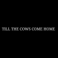 TILL THE COWS COME HOME