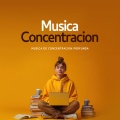 Musica Concentracion