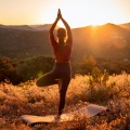 Sonidos zen、Flujo De Yoga、Lista de reproducción de flujo de yoga - Los Ecos Guían Un Enfoque Más Profundo