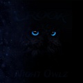 Crook - NIGHT OWLZ (slowly)(Explicit)