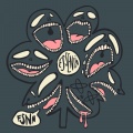 fsnn - recovery