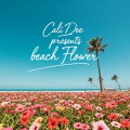 Cali Dee、Profit - Dont Believe It