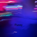 Eating cats and dogs (Explicit)