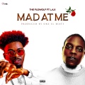 The Flowolf、L.A.X - Mad At Me Remix (Explicit)