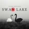 Tbilisi Symphony Orchestra、Vakhtang Kakhidze - Swan Lake, Op. 20, Act I: 2. Valse. Tempo di Valse