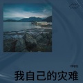 琥珀 - 我来过这世间，可我不曾活过