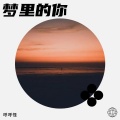 琥珀 - 你要是在我身边就好了