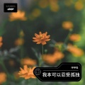 琥珀 - 快乐的追寻