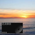 琥珀 - 我们做的最有默契的一件事