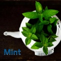 Carles Lanzarotta - Mint