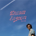 Raccoon Lagoon - How to install